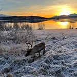 Panorama Storelva ترومسو