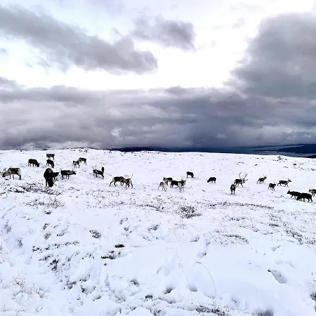 Panorama Storelva *