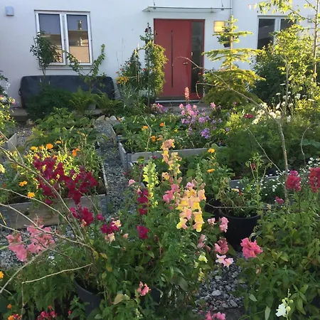 Panorama Storelva טרומסה