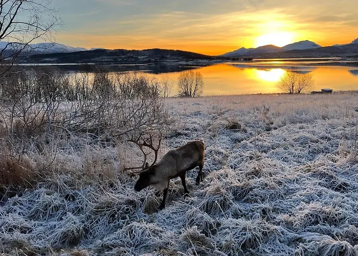 Panorama Storelva Tromsø
