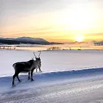 Panorama Storelva *
