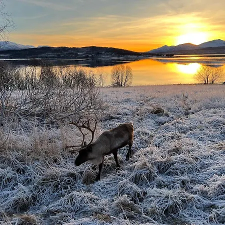 Panorama Storelva Tromsø
